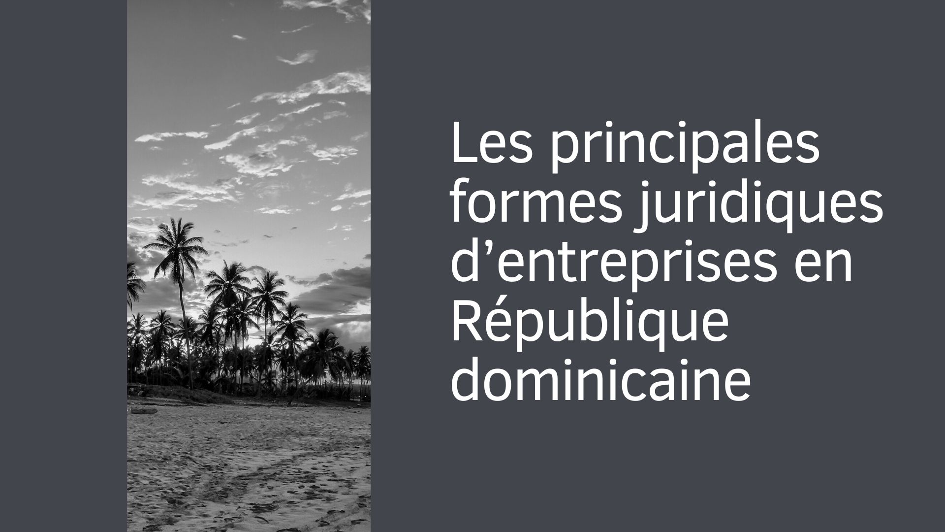 Les principales formes juridiques d'entreprises en République dominicaine